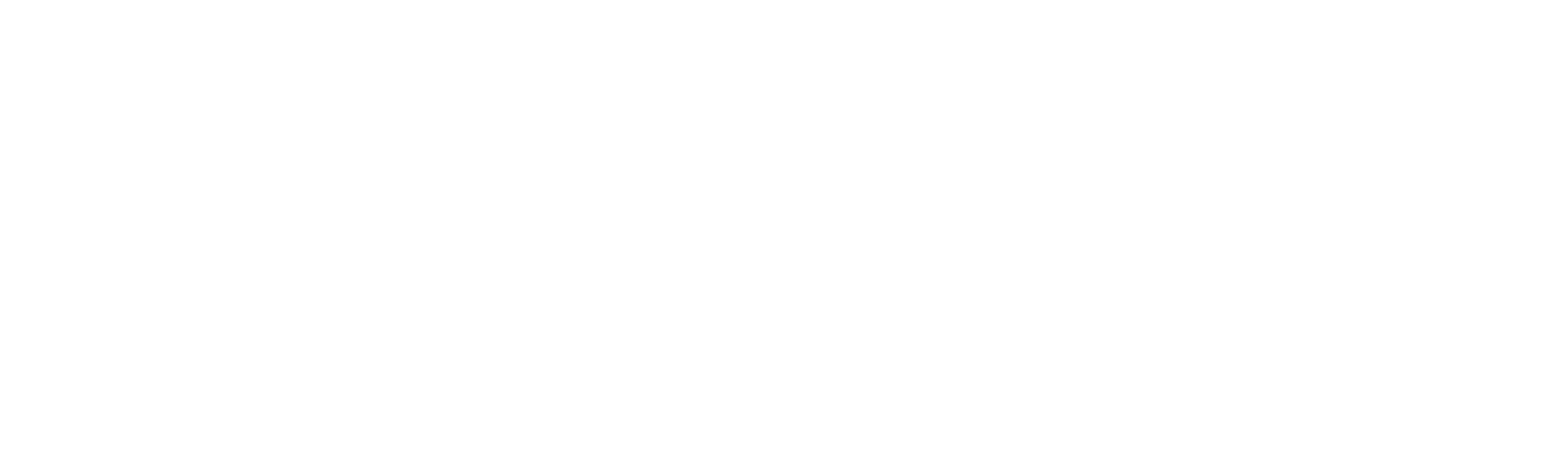 Producer Bridge Logo White